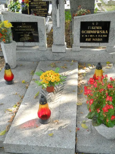 Zdjęcie grobu 15/26579
