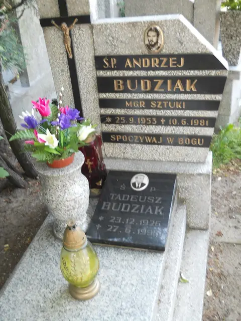 Zdjęcie grobu 7/12080