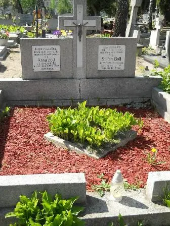 Zdjęcie grobu H/66,67