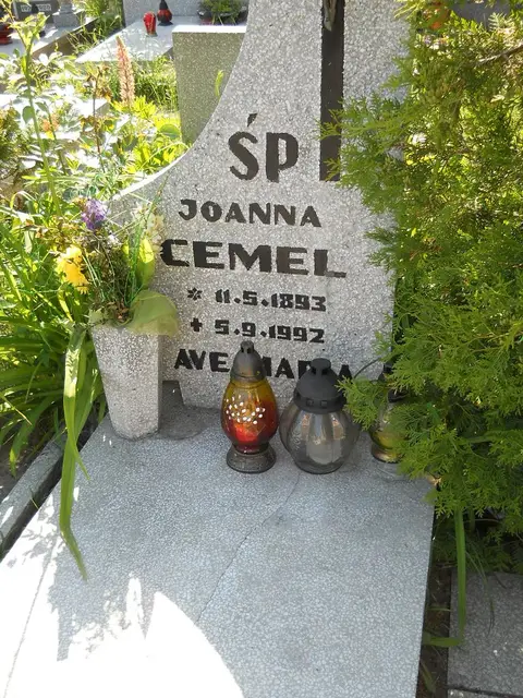 Zdjęcie grobu 7/11978