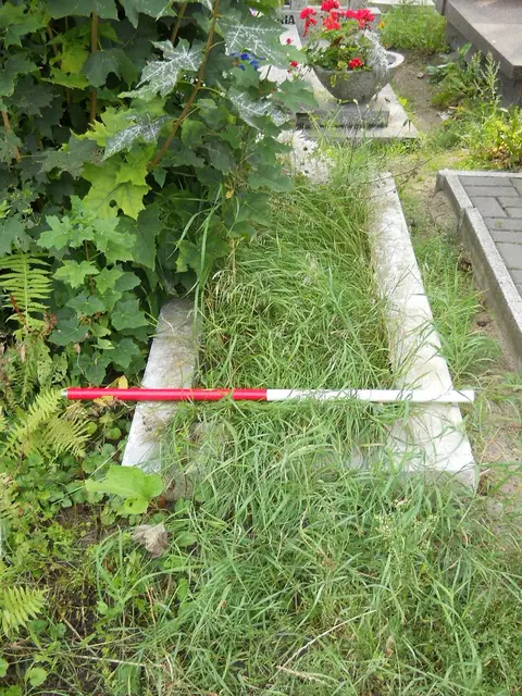 Zdjęcie grobu B/25104