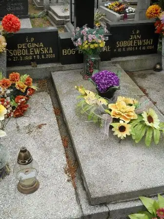 Zdjęcie grobu 32/253,254