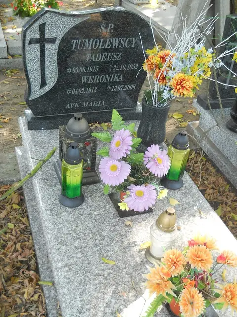 Zdjęcie grobu 15/26548