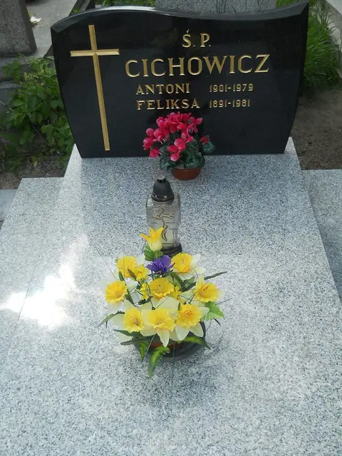 Zdjęcie grobu 7/11767
