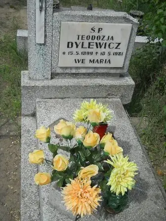 Zdjęcie grobu 20/585