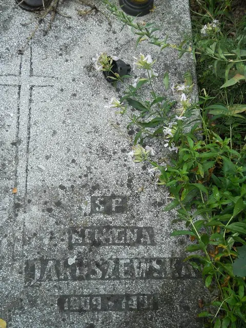 Zdjęcie grobu 5/22721