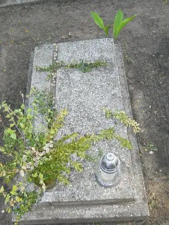 Zdjęcie grobu 7b/136