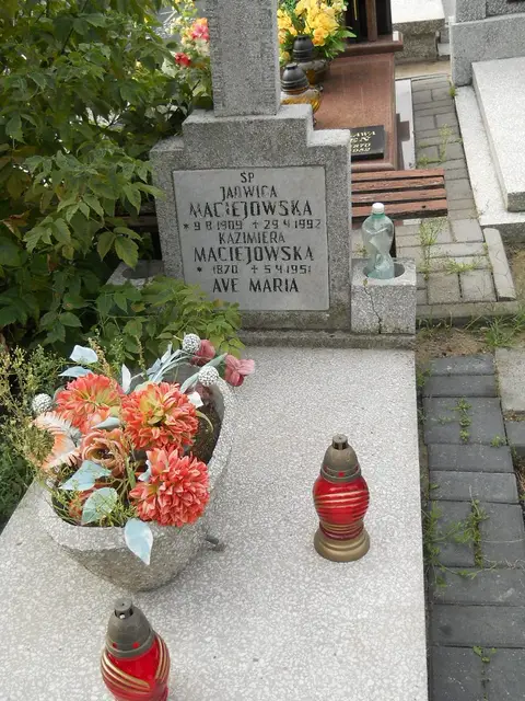 Zdjęcie grobu 11/29186