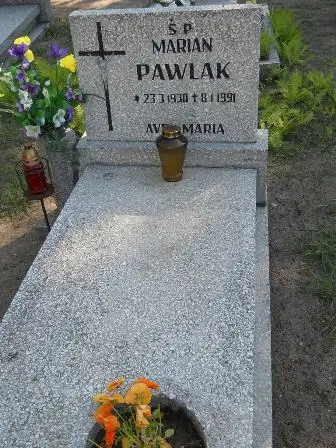 Zdjęcie grobu 46/100