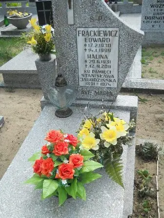 Zdjęcie grobu 40/100