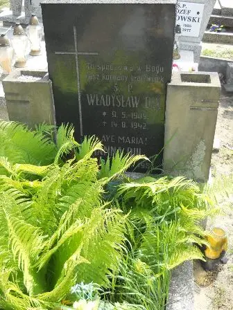 Zdjęcie grobu 25/74