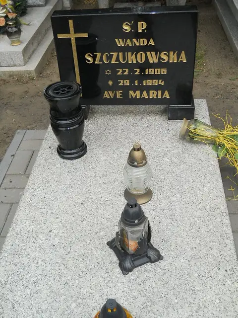 Zdjęcie grobu 7/10895