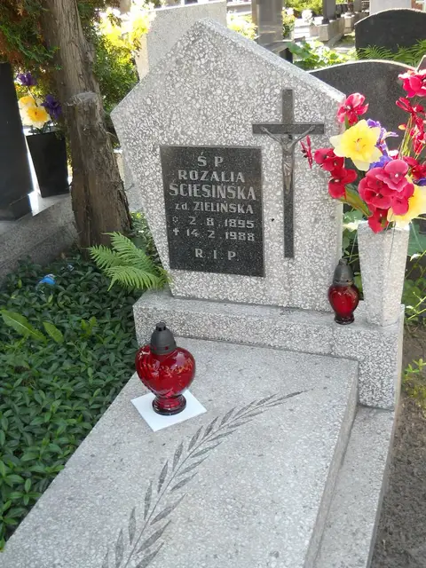Zdjęcie grobu 7/11829