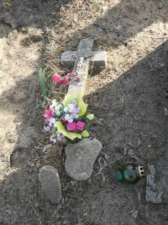 Zdjęcie grobu 6/664