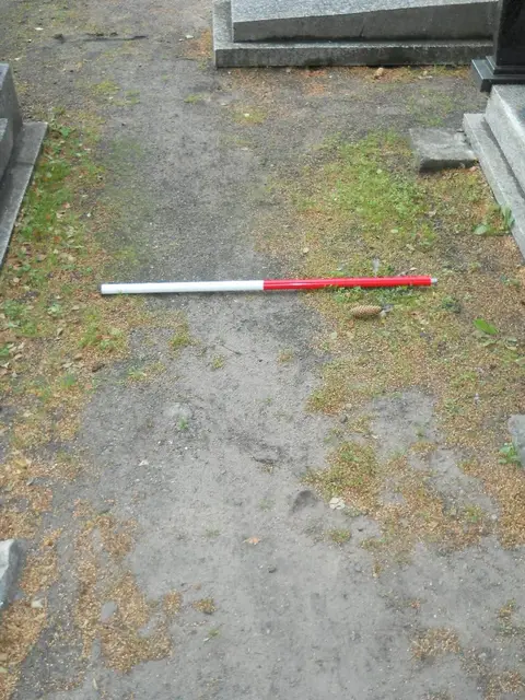 Zdjęcie grobu B/25740