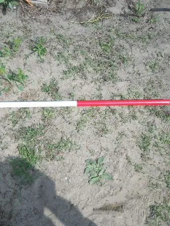 Zdjęcie grobu 35/100