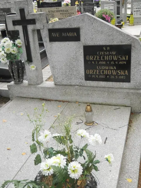 Zdjęcie grobu 16/26137