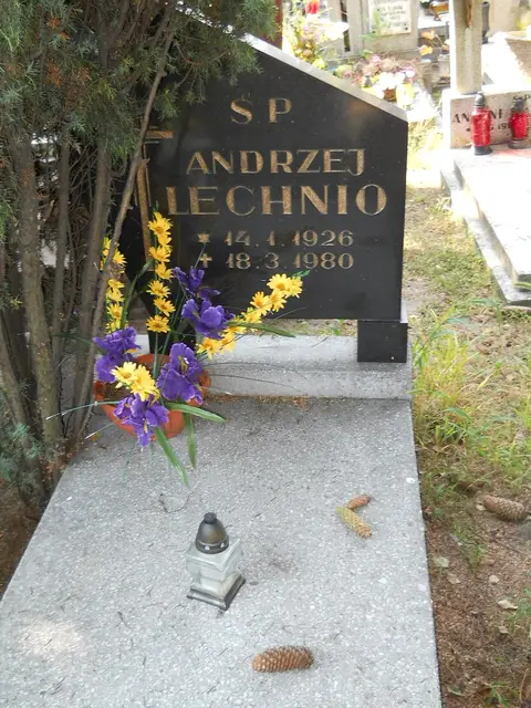 Zdjęcie grobu 17/28063