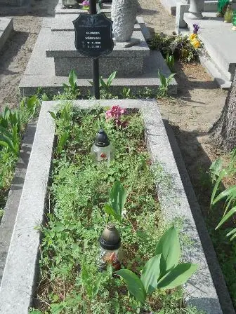 Zdjęcie grobu 20/312