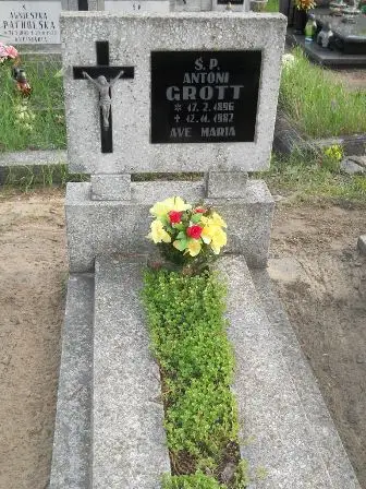 Zdjęcie grobu 37/214