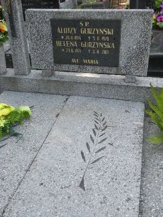 Zdjęcie grobu 35/255.256