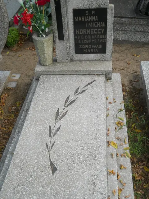 Zdjęcie grobu 14/26919