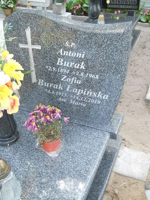 Zdjęcie grobu 8/10483