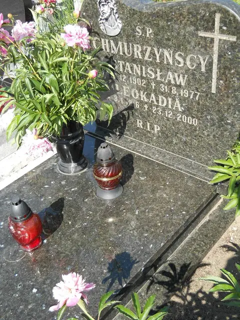 Zdjęcie grobu 7/11948