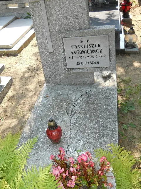 Zdjęcie grobu 14/27307