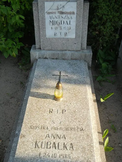 Zdjęcie grobu C/12113