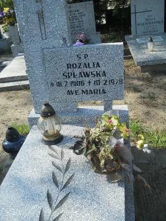 Zdjęcie grobu 14/100