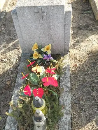 Zdjęcie grobu 100/100
