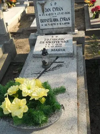 Zdjęcie grobu 9/100