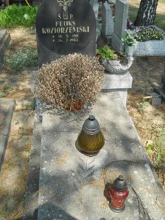 Zdjęcie grobu 30/100