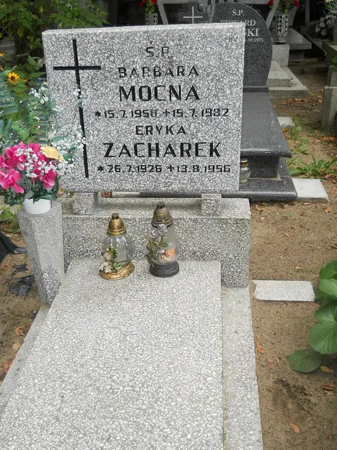 Zdjęcie grobu 12/29493
