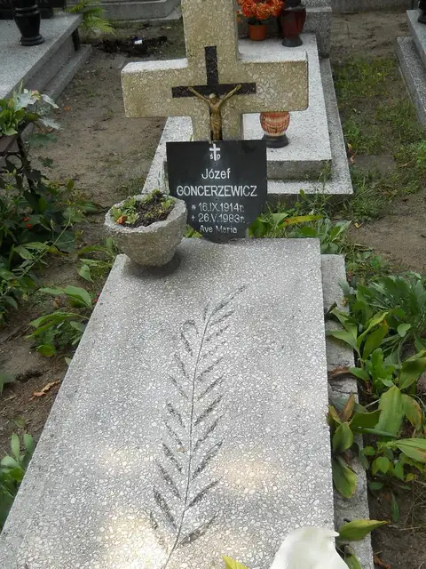 Zdjęcie grobu 19/28508