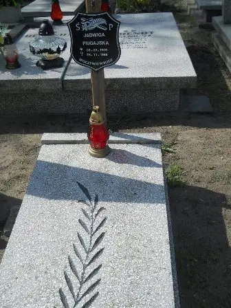Zdjęcie grobu 24/295