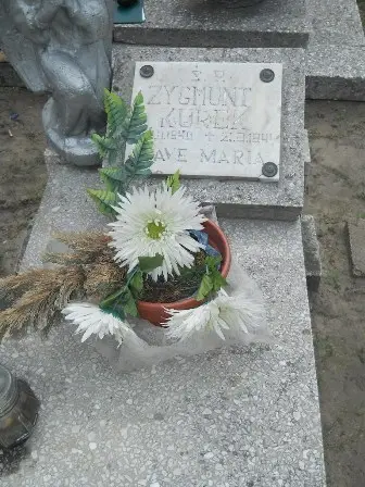Zdjęcie grobu 21/178