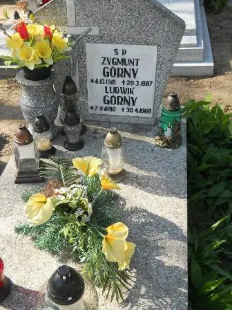Zdjęcie grobu 24/100