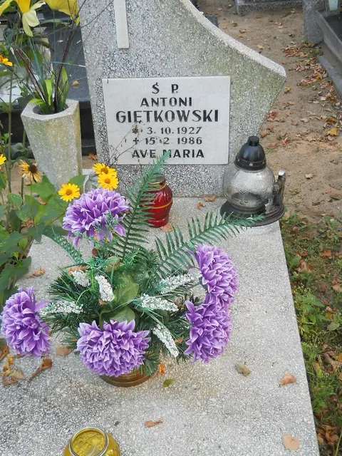 Zdjęcie grobu 15/26809