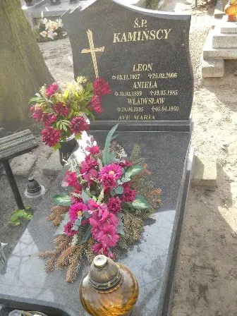 Zdjęcie grobu 15/100
