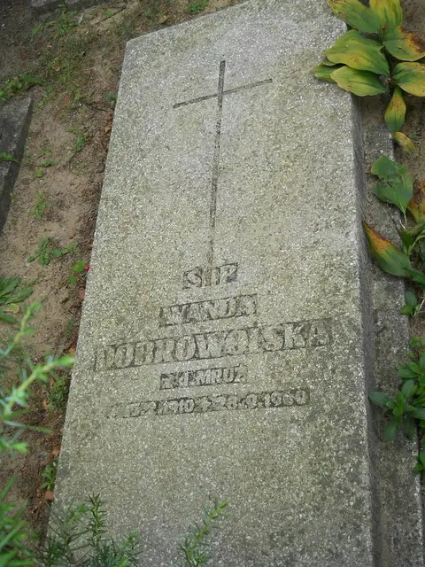 Zdjęcie grobu 12/29425
