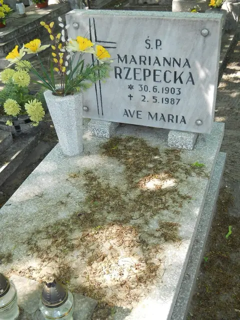 Zdjęcie grobu 8A/10368
