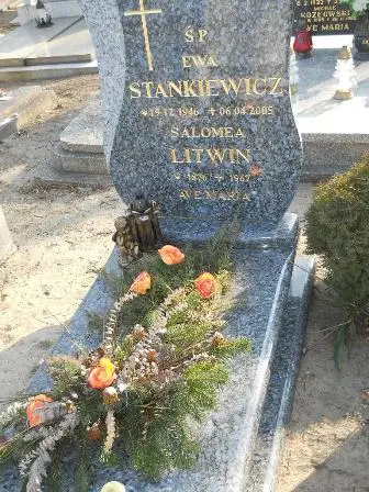 Zdjęcie grobu 2/113