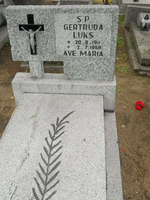 Zdjęcie grobu 22/23589