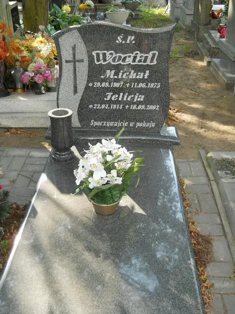 Zdjęcie grobu 19/28618