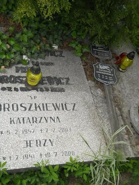 Zdjęcie grobu 7/11644