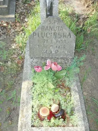 Zdjęcie grobu 7/100