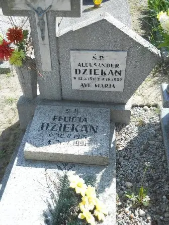 Zdjęcie grobu 25/100