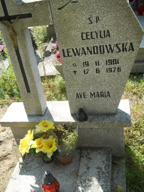 Zdjęcie grobu 14/27230